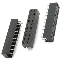 91813-120 Socket 2 x 10 Pin THT BERG