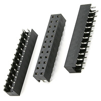 91813-124 Socket 2 x 12 Pin THT BERG